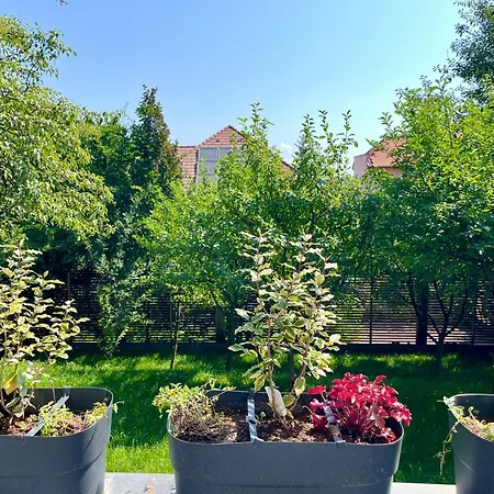 Citadel Signature Braşov