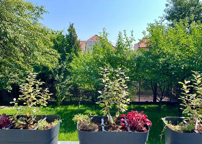 Citadel Signature בראשוב